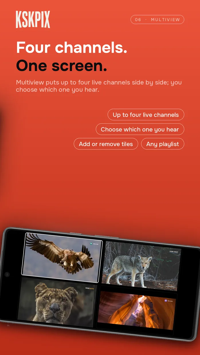 Four channels. One screen. Multiview on an Android phone
