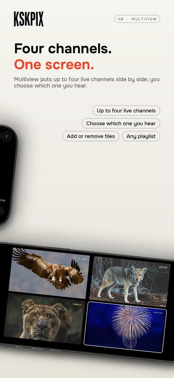 Four channels. One screen. Multiview on an iPhone