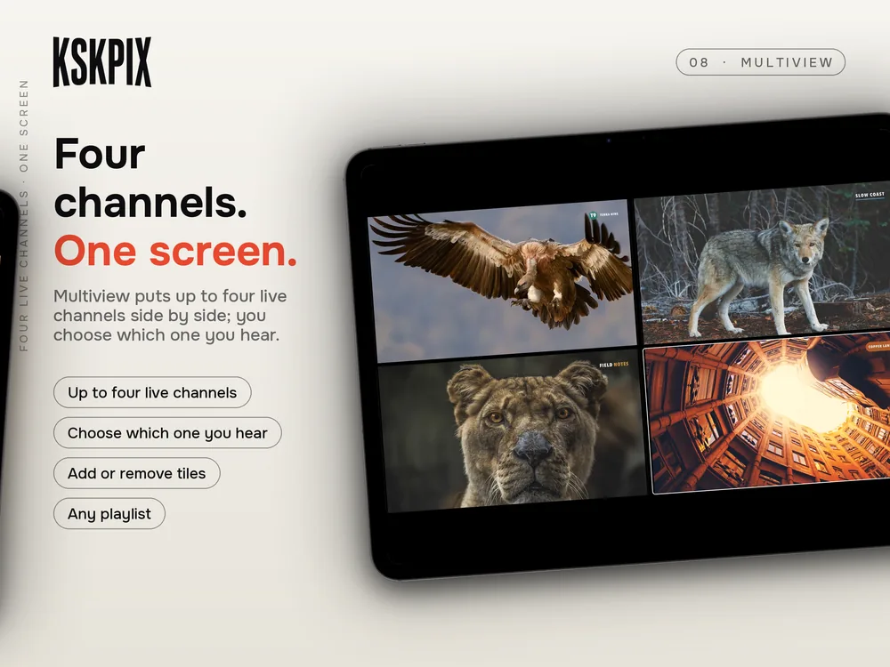 Four channels. One screen. Multiview on an iPad