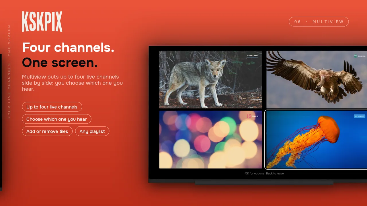 Four channels. One screen. Multiview on an Android TV